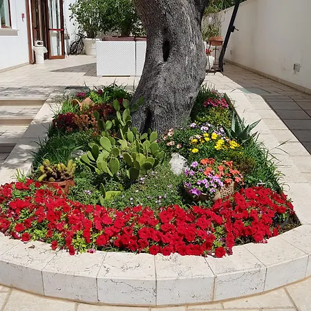 Victoria Hotel Torre Santa Sabina
