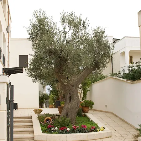 Hotel Victoria 4*